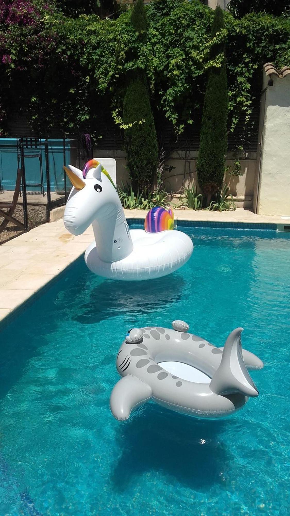 Maison Pelissier Bed And Breakfast With Sweeming Pool Cuxac-dʼAude 外观 照片